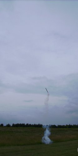 2013 Suche 29062013 Olivera